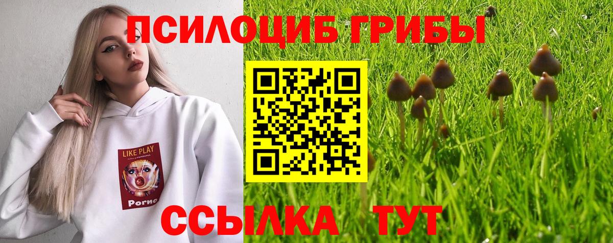 где продают наркотики  Галлюциногенные грибы GOLDEN TEACHER  Вход с VPN  Глазов  Псилоцибиновые грибы MAGIC MUSHROOMS 